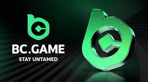 Experience the Thrill of BC.Game Poker India 2